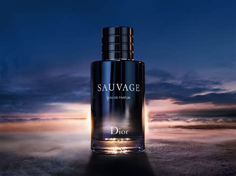 dior indonesia web|dior perfume indonesia.